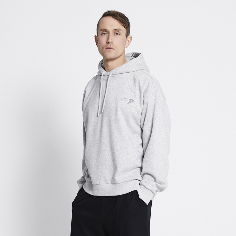 Heavy hoodie "Rex Hood" Grey Melange